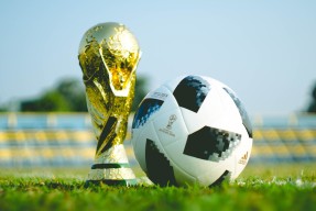 多米体育官方网站-大坂直美澳网五季高光，澳洲球迷沸腾狂欢